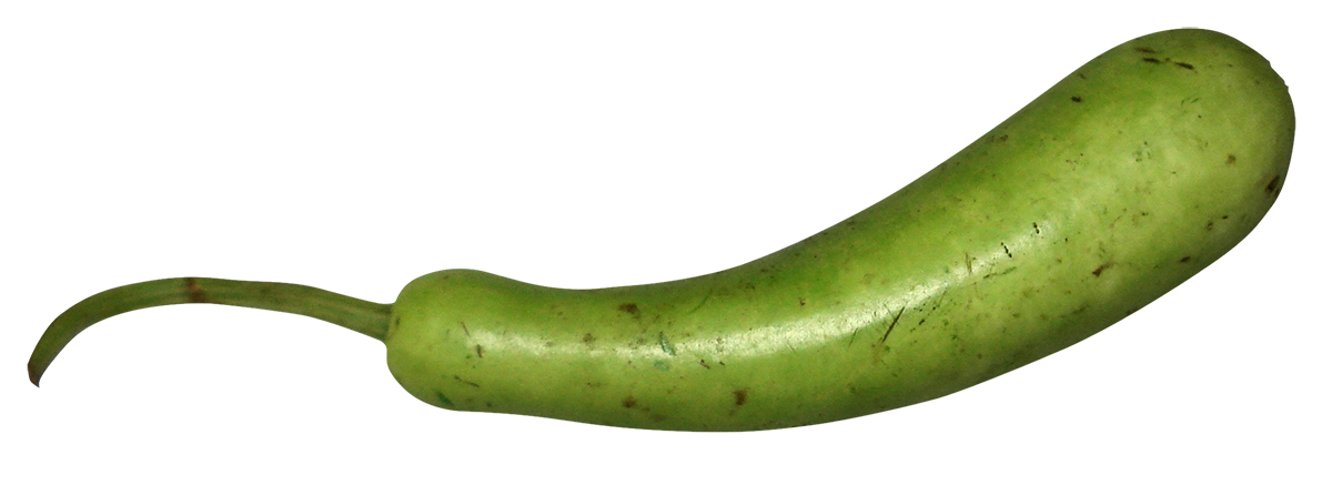 bottle gourd, free bottle gourd png, bottle gourd png image, transparent bottle gourd png image, bottle gourd png full hd images download